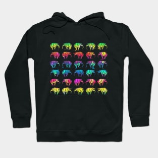 Elephants at the Dream Zoo Hoodie